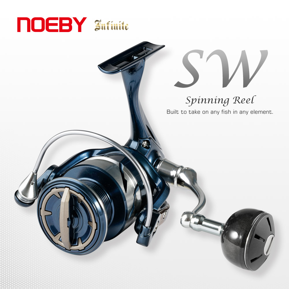 Daiwa Reel Bg - Mulinello da Pesca Spinning Noeby INFINITE