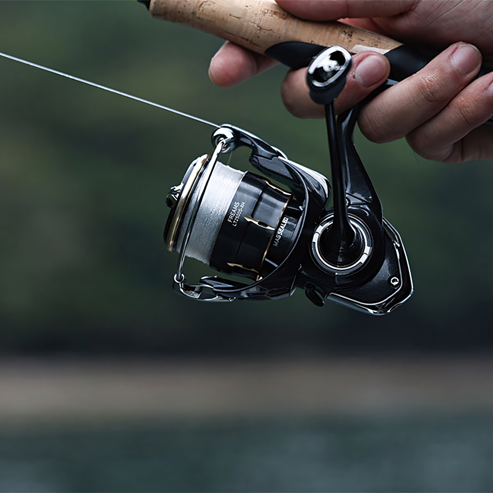 Mulinello da Spinning DAIWA 20 - Daiwa Reel Bg recensione e prezzo