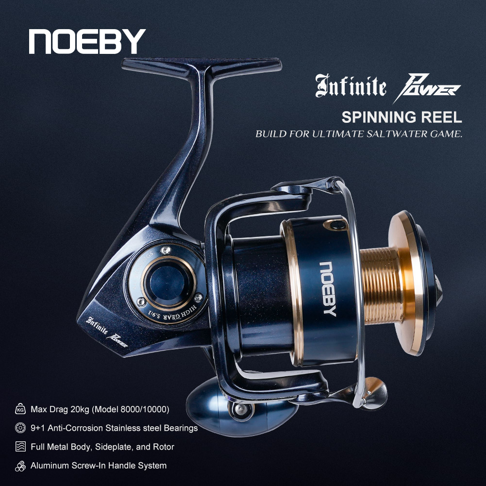 Mulinello da Pesca Spinning No - Daiwa Reel Bg recensione e prezzo