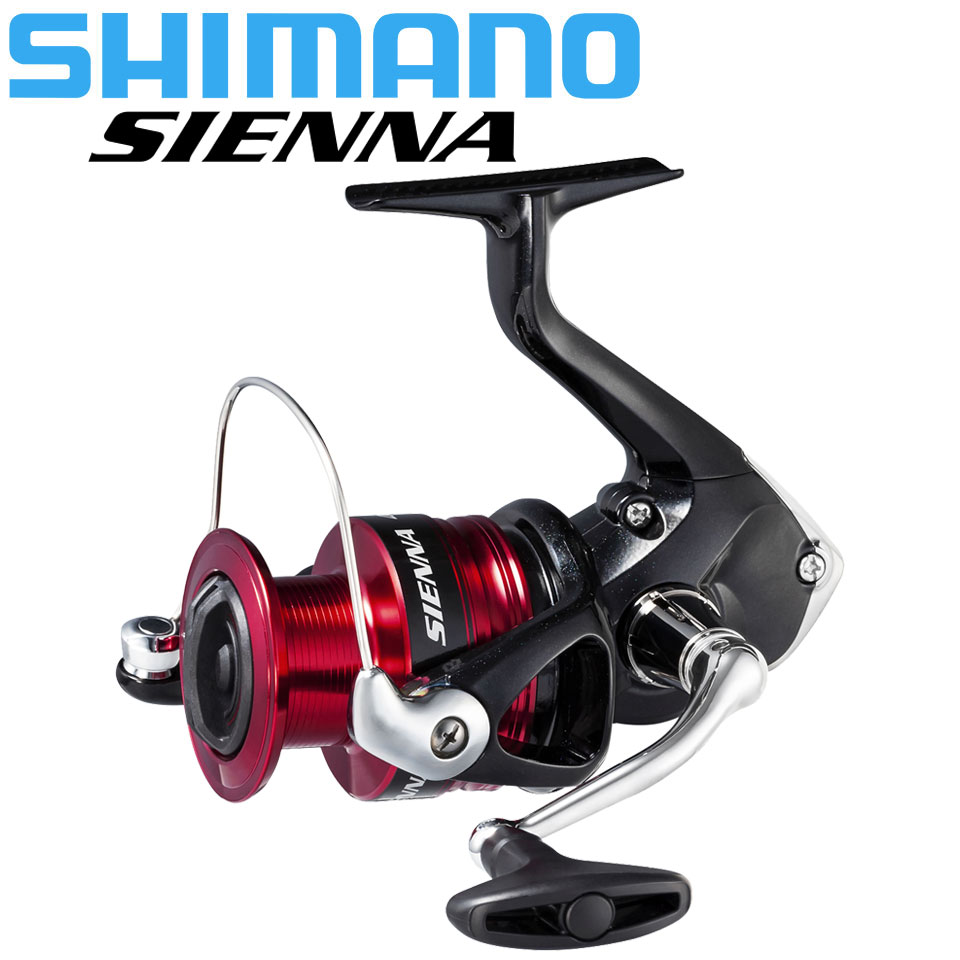 SHIMANO SIENNA Mulinello da pe - Penn Reel Fierce recensione e prezzo