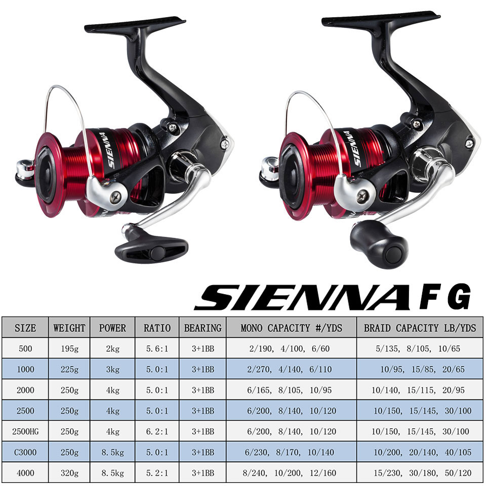 SHIMANO SIENNA Mulinello da pe - Penn Reel Fierce recensione e prezzo
