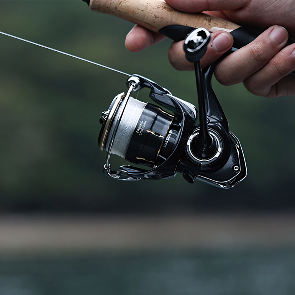 Mulinello da Pesca Spinning DA - Daiwa Reel Bg recensione e prezzo